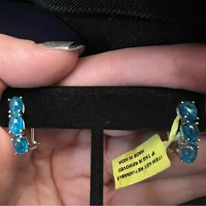 NWT Natural Blue Apatite Sterling Silver Omega Back Earrings